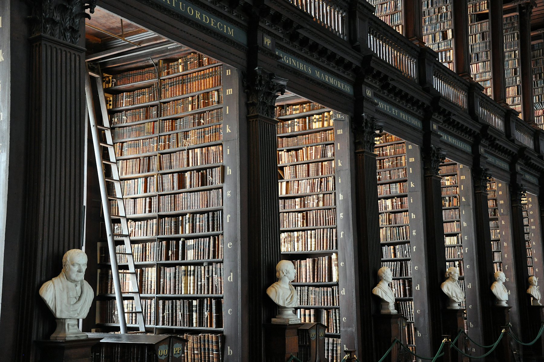 Library stacks with marble busts